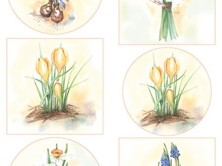 Marianne Design A4 Cutting Sheet - Mattie s Mooiste - Flower Bulbs Online now