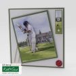 Die Cut Decoupage – Cricket (Pack Of 3) Hot on Sale