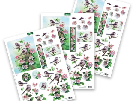 Die Cut Decoupage – Birds In Blossom (Pack Of 3) Sale